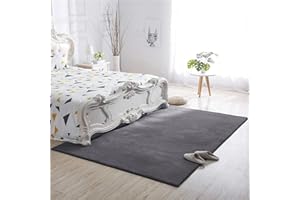 BedLooms Rugs Living Room Grey 120 x 170 cm, Fluffy Faux Fur Rug for Bedroom Low Pile Machine Washable Carpets for Dinning Room Soft Non Shedding Nursery Rug for Kids Room