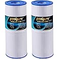 POOLPURE Spa Filter for Hot Tub Compatible with Pleatco PRB50-IN, PRB501N, Unicel C-4950, Filbur FC-2390, Dynamic 03FIL1600, Pentair R173434, 50 sq. ft. Spa Filter Cartridge 5 X 13