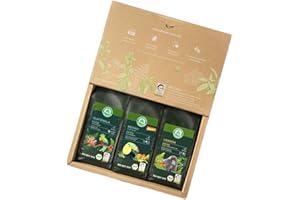 ‎LEBENSBAUM LEBENSBAUM Bio Kaffee Geschenkset Herkunftskaffee gemahlen, Bio Kaffee Set aus Uganda, Guatemala und Mexiko (3 x 250 g)