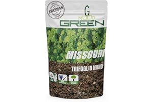 GARDENHOME GREENMOOD MISSURI Trifoglio Nano American Quality Bassa Manutenzione pochi tagli mensili (FINO a 50 m2 X 0,500 Kg)