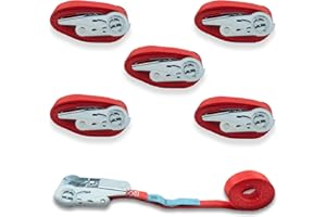 DOLEZYCH DoZurr 700 Lot de 5 Sangles d'arrimage avec Mini cliquet - 1 pièce - Charge maximale : 700 kg - 25 mm de Large x 4 m de Long - Rouge