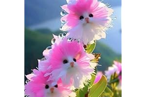 HIBORTH Graines d'Orchidée Chat - 100 Graines d'Orchidée, Fleurs Vivaces à Planter | Graines de Fleurs pour Intérieur et Extérieur (A)