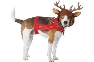 California Costumes Collections PET20155 Apparel for Pets, Large