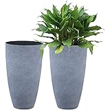 LA JOLIE MUSE Tall Planters - Set of 2 Flower Pot