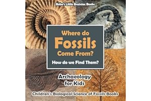 Where Do Fossils Come from? How Do We Find Them? Archaeology for Kids - Children's Biological Science of Fossils Books