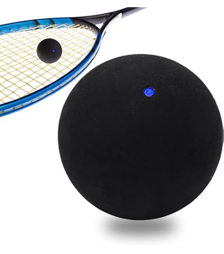 Graines Courge Gem Squash Rolet - 10 Semis - Facile à Cultiver - Toutes Types De Sol