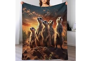 PAZZK BettDecke 100% Flannel, Erdmännchen 3D-Digitaldruck Kuscheldecke, Decke, Weich Wohndecke, Sofadecke Für Kinder Jungen Erwachsene Vier Jahreszeiten（150×200cm）