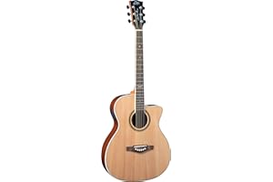 EKO GUITARS - NXT A 100 CW EQ, Naturel