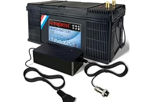 DEESPAEK Batería de Litio de 24 V 100 Ah, baterías Recargables de Ciclo Profundo LiFePO4 con protección BMS de 100 A, para Kit de Panel Solar, Marino, Motor de Arrastre, Caravana, RV, Barco