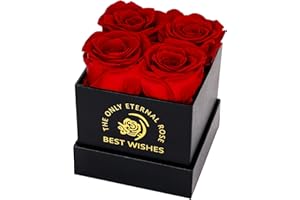 MestectPET Rosenbox mit 4 Infinity Rosen, Rot Ewige Rose Konservierte Blumen Geschenkbox, Valentinstag Muttertag Geburtstag Hochzeitstag Geschenke Für Mutter Freundin Ehefrau Oma Frauen