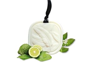 ‎LUKATA Festes Duftwachs-Sachet – Kleiderschrank Duft Bergamot & Cashmere | Lang anhaltender Lufterfrischer für Schrank, Schublade & Zuhause | Natürliches Rapswachs – 34g