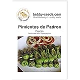 Bobby-Seeds Paprikasamen Pimientos de Padron Portion