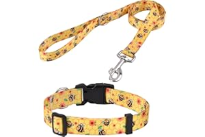 Mihqy Hundehalsband und Leine Set, Verstellbares, Weich & Komfort Nylon Hunde Halsband für Kleine Mittlere Große Hunde Welpen Katzen(Biene Set,S)