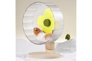 MEWOOFUN Ruota silenziosa per criceti, 22 cm, grande, con base in legno regolabile, per criceti nani, cincillà, topi, gerbilli e piccoli animali, trasparente