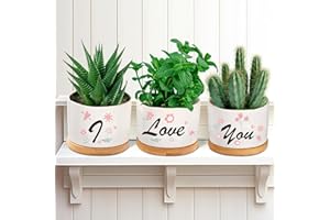 FUNISTREE Valentines Ceramic Succulent Plant Pots Gifts for Her Girlfriend Wife, 3 Pack Small Cactus Herb Pot with Drainage Hole and Tray, Romantic I Love You Gift Set Birthday Anniversary Presents Indoor Decor