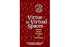 Virtue in Virtual Spaces: Catholic Social Teaching and Technology (Enacting Catholic Social Tradition)