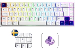 Akko 3068B Plus Tastiera Meccanica RGB, Layout ISO-Nordic QWERTY Mini Tastiera da gioco Compatta al 60%, 3 Modes/Hot Swap/PBT/Profilo Cherry, interruttore tattile CS Jelly Purple (blu su bianco)