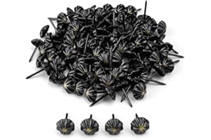 Chinchetas Decorativas, JANDH 100 Piezas Clavos Tapiceria, Chinchetas para Tapizar, Tachuelas de Metal, Adecuados para la Decoración de Artículos de Madera de Muebles