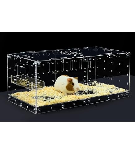 Großer Transparenter Acryl-Käfig Für Kleintiere – Hamster, Meerschweinchen & Mehr