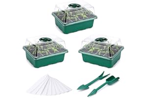 Fox·Bunny Anzuchtkasten, 3 Stück 36 Zellen Zimmergewächshaus Anzuchtkasten, Pflanzen Anzucht Set mit Deckel und Belüftung für Sämling Pflanze, Grün