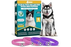 YOTANGO Collare Antiparassitario per Cani, 4 Pezzi Collare Antipulci Cane, Naturale Collare Cane Antiparassitario, Regolabile 32 Mesi di Protezione Antizecche per Tutti i Tipi di Cani-Viola&Rosa