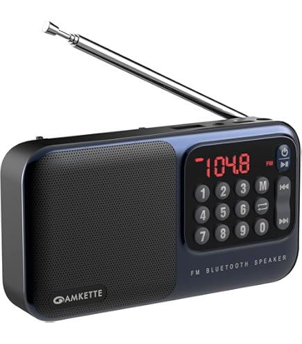 Sony ICF-P27 - Portable AM/FM radio - Black : Amazon.in: Electronics