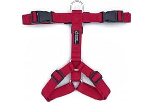 Animal Connection Pettorina ad H per Cani. 5 Punti di Regolazione. Disponibile in 5 Colori. Leggera e Resistente. (L, Ciliegia)