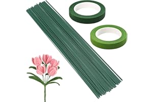 LUMINARYLAIR 80 Pièces 30 cm Tiges Florales en Fil de Fer,Tiges Wires Floral avec 2 Ruban Floral,Tiges Fil pour Fleuristes,Fil de Fer Fleur Vert Stem Wire,pour la Fabrication de Projets Floraux et de Bouquets DIY