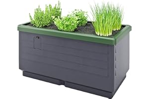 Bio Green City Jungle Basisversion