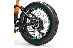 DualColorStampe Adesivi Cerchi Bici FAT BIKE 20'' Pollici Ruota Bici accessori Fat bike MTB Stickers Cerchi BANDIERA ITALIANA COD. B0128 (MENTA 55)