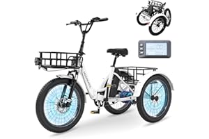 MOONCOOL E Bike Klapprad, 20" E Bike Herren Damen Mit 36V 20AH Akku, 250W Motor Elektrofahrrad, LCD-Display, Geschwindigkeit 25 KM/H, 167 KM Reichweite, IP65, 45 NM Electric Bike Mit GroßEn KöRben