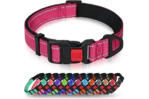 Taglory Collar Perro, Collar Nylon Reflectante Neopreno Forrado Ajustable para Perros Pequeños, Fucsia