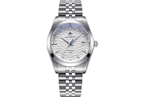 ADDIESDIVE Montre Automatique Analogique Homme 100 Mètres D'étanchéité Glace Saphir Surélevée Montre Pilote Bracelet en Acier Inoxydable