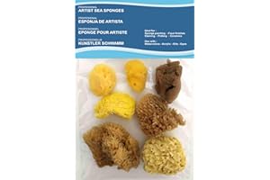 ‎PASIPHAE NATURAL SKIN CARE & SEA SPONGES Natürliche Meeresschwämme für Künstler, 7-8 Stück,Malen, Hobbys, Effekte, Keramik, Töpfern, Dekorieren, Schwammtechnik, Bildende Kunst – Feine bis grobe Textur, Größen 3 –7,6 cm.