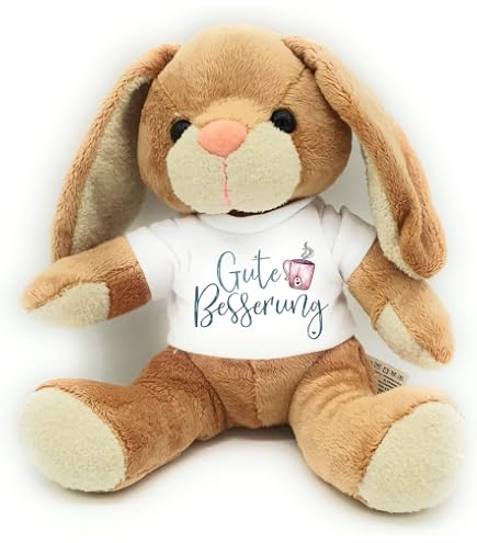 Teddys Rothenburg Laber-Bär – Sprechender Plüschbär, 16 Cm, Mit T-Shirt