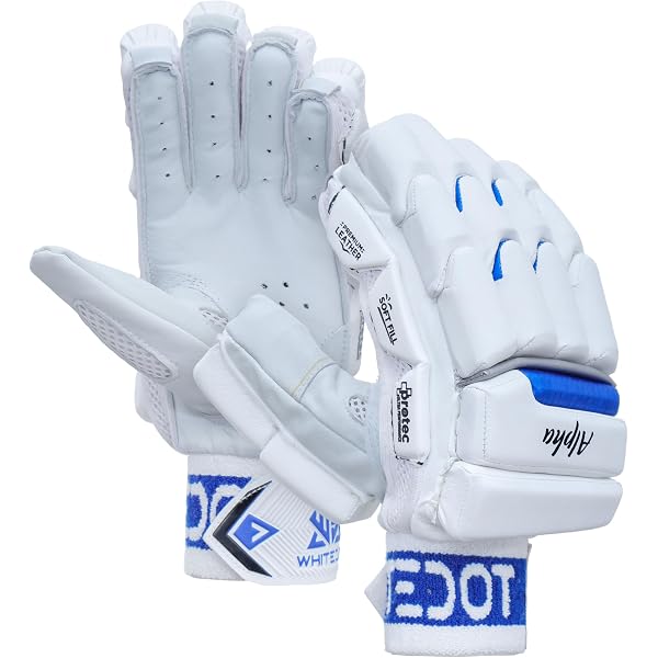 Buy WOOD-SWORD | Armour-GX8 (4.0) | Cricket Batting Gloves | Multi