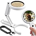 eSynic 5X 11X Foldable Magnifying Glass Professional 2 in 1 Handheld & Desktop Magnifier Glasses with 8 LED Lights and Stand Portable Magnifier Perfect for Hobbies Reading Crafts Sewing Handcraft etc.