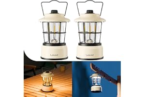 Linkind Set med 2 retro batteridrivna LED-lyktor