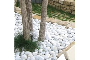mille idee Ciottoli in marmo bianco carrara, sacca da 25kg, sassi con angoli arrotondati per decorazione ornamento giardino, pietre naturali per Vaso fiori, acquario, (Diametro 7-15 mm)
