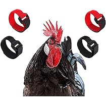 Collari Anti-Canto Per Galli - Set Da 4 Regolabili In Nylon, Per Evitare Il Disturbo Dei Vicini - Foto 10