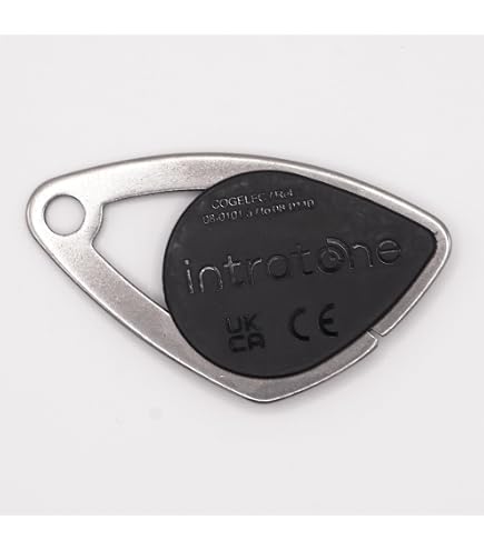 INTRATONE 09-0101 - Télécommande Express