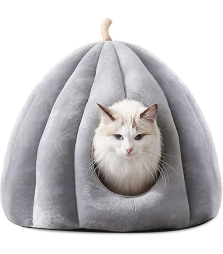 Completo Lenzuola Gattini Salmone - Stampa Dolce Cotone - Made In Italy Misura 1 PIAZZA - Foto 5