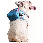 Pawlook Gimme Five Mavi &Ccedil;antalı G&ouml;ğ&uuml;s Tasması, K&ouml;pek Sırt &Ccedil;antası &ndash; G&ouml;ğ&uuml;s Tasması İşlevli, Geri D&ouml;n&uuml;şt&uuml;r&uuml;lm&uuml;ş Malzeme, Ayarla