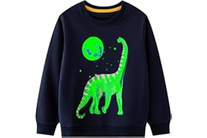 Hoseay Sudaderas Niño Algodón Dinosaurio Dibujos Pullover Cuello Redondo Manga Larga Camiseta Niños Sin-Capucha Sweatshirt Casual Deporte Jersey Infantil Ropa Regalo para 2-7 Años