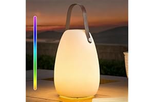 IROO Lampe de table LED extérieur avec Télécommande Blanc chaud 8 couleurs Intensité variable Lampe de Table sans fil étanche Décoration idéale pour votre maison et jardin (ronde)