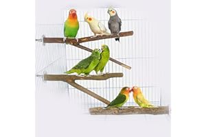 CYQACLSF Lot de 4 Perchoirs en Bois, Bois Pieds Perchoirs, Perchoir en Bois Naturel Calopsitte, Perchoirs à Oiseaux Branches, Perchoirs Bois Naturel Perruche, pour Perruches, Perruches, Canaris
