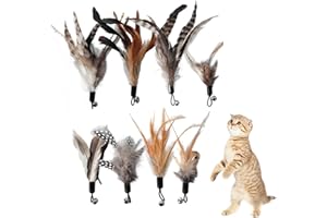 Kireida® 8 Stück Cat Feather Toys Ersatz - Katzen Federspielzeug für Katzen ohne chemische Farbstoffe – inklusive Nachfüllungen für natürliche Katzenfedern