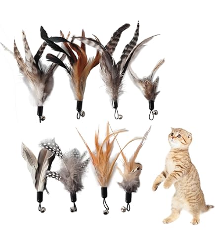 Giocattolo Per Gatti Con Piume - 2 Bacchette Retrattili E 10 Ricariche, Con Campanelli - Foto 12