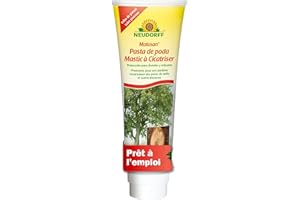 Neudorff Malusan Mastic à Cicatriser 275 ML - Protection des plaies de Taille et blessures sur Arbres fruitiers, vignes et Arbres d’Ornement - Tube prêt à l'emploi avec Pinceau