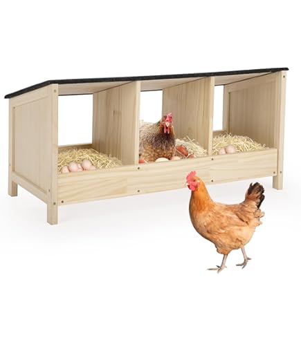 Tucker Murphy Pet™ Chicken Run Galvanized Steel Large Durable Chicken Run